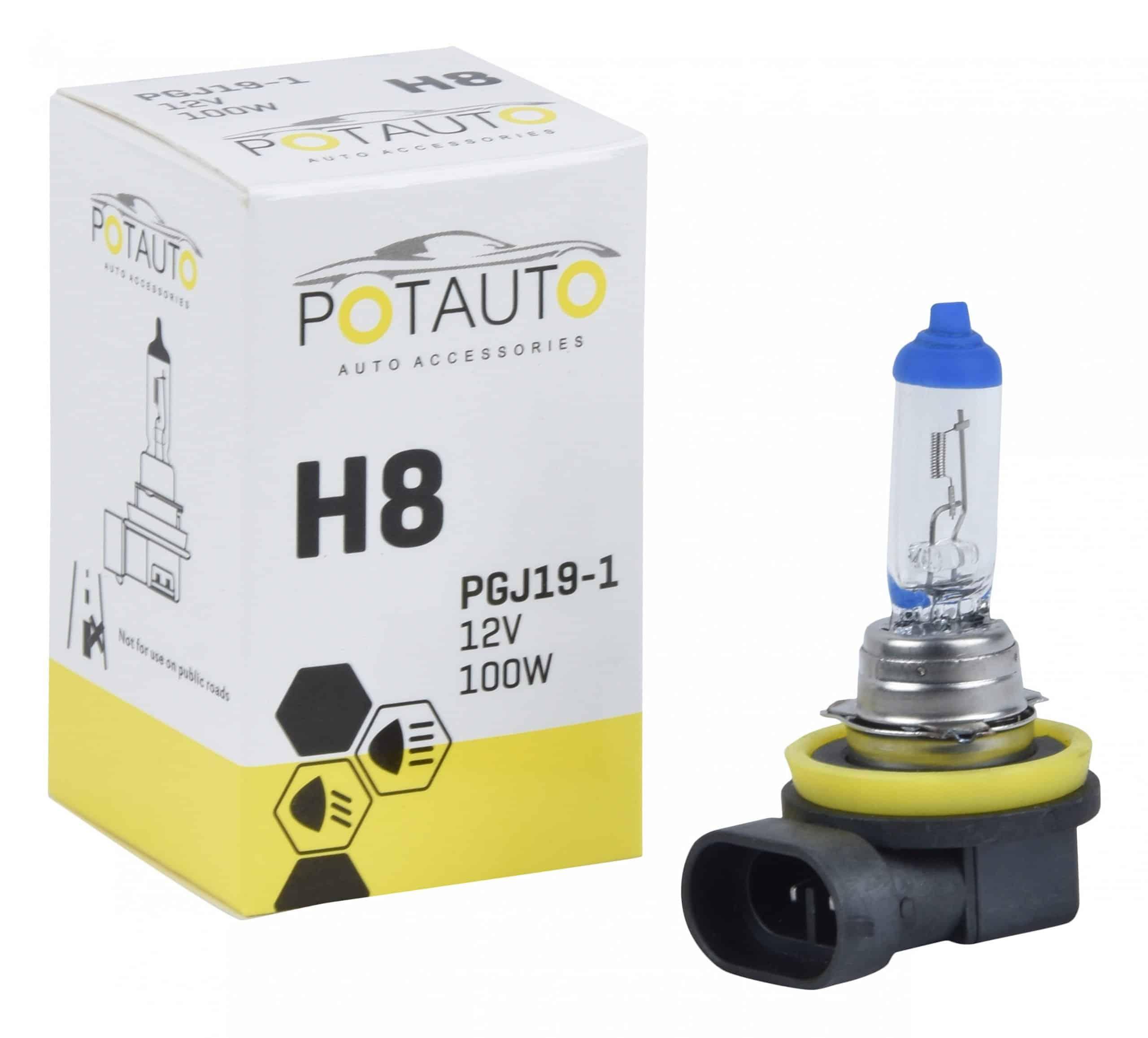 Potauto H8 Headlight Bulb for car PGJ19-1 (12V 100W)  (Set of 2)