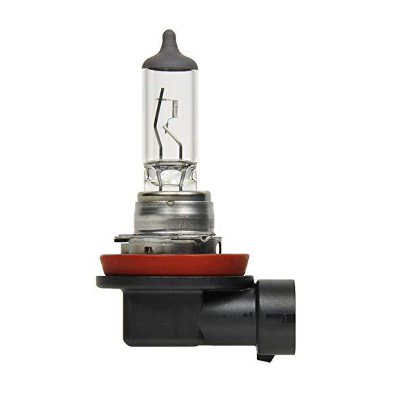 Osram 35W 12V H8 Bulb Fog Light - Autosparz